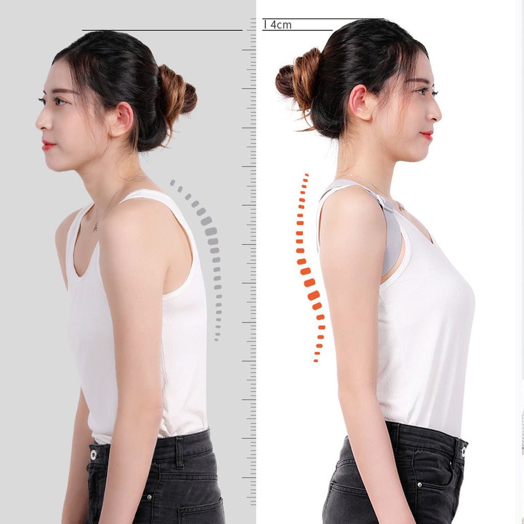 Posture Support Belt
