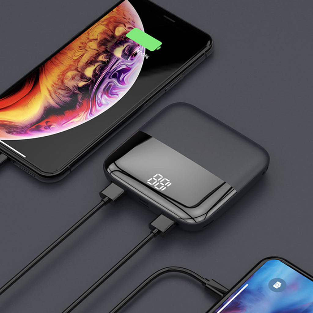 Mini-Max Portable Charger